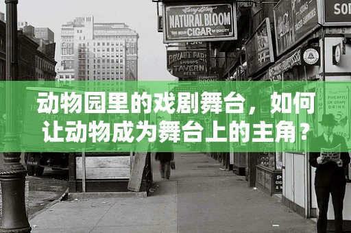 动物园里的戏剧舞台，如何让动物成为舞台上的主角？