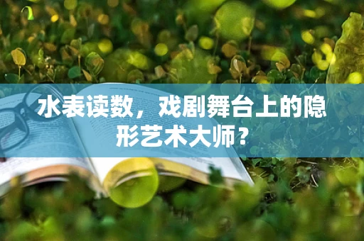 水表读数，戏剧舞台上的隐形艺术大师？